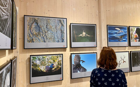 Sonderausstellung „Glanzlichter 2025"