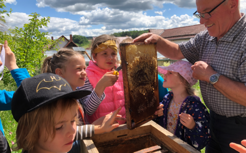 Wilder Samstag für Kinder: Biene Maja und ihre Freunde
