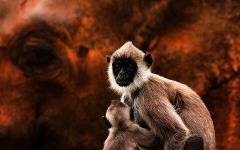 Sonderausstellung "Tiere der Welt"