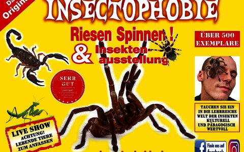 Insectophobie Riesen Spinnen & Insekten Ausstellung 
