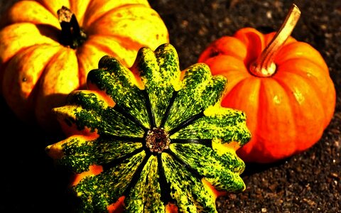 Ferienprogramm Herbst