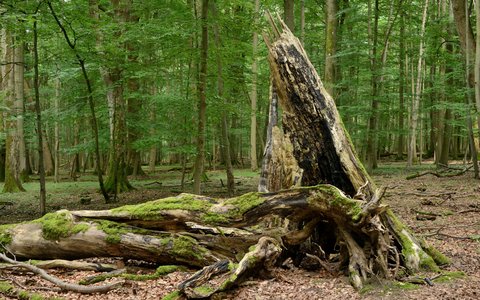 Sonderausstellung „15 Jahre Welterbe“