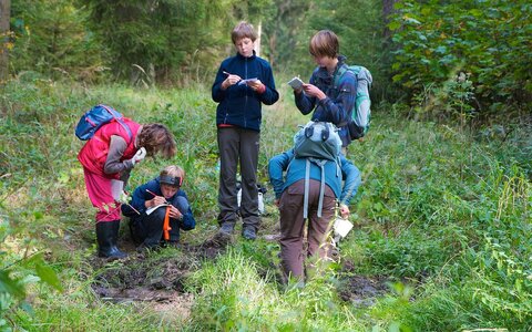 Nature Journaling: Naturphänomene künstlerisch entdecken