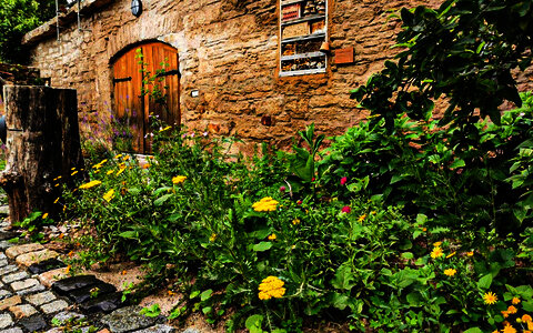 Sammlerische Kostbarkeiten