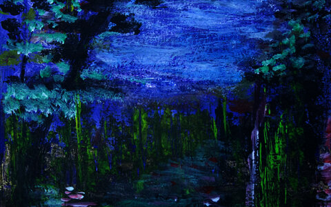   Elena Pirvu "Metamorphose"