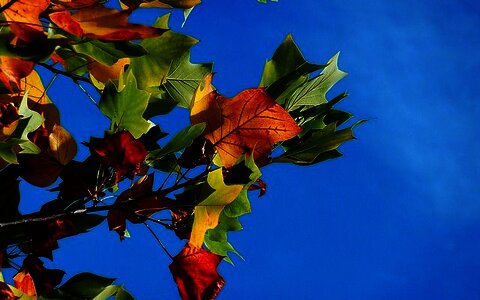 Ferienprogramm Herbst