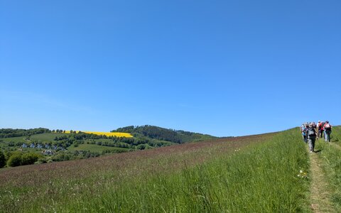 24. Schmalkalder Wandersommer - Runde von Themar