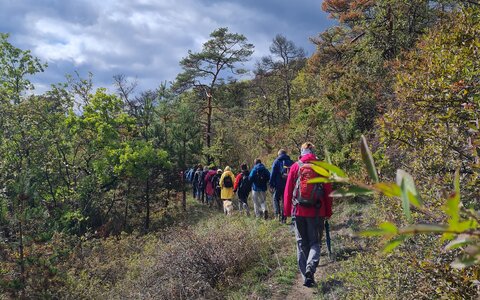 Wandern mit Gerd - Koppentour