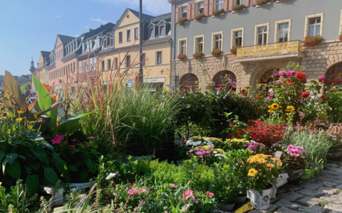 Saalfelder Wochenmarkt