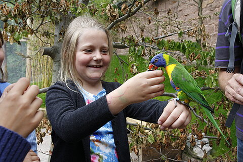 Mädchen mit Papagei auf der Hand