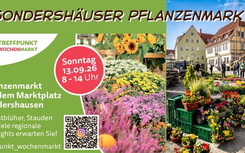 Sondershäuser Pflanzenmarkt
