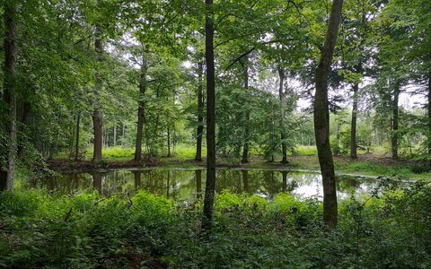 Wasser-Wandern rund um den Possen