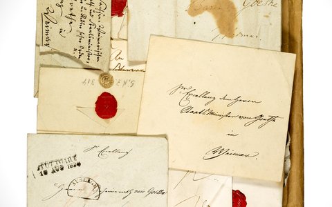 Zwischen Ordnung und Verlust 