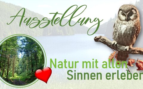 Ausstellung: Biosphärenreservat Vessertal - Thüringer Wald