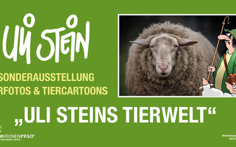 Uli Steins Tierwelt
