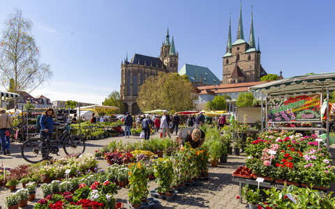 Erfurter Blumen- und Gartenmarkt
