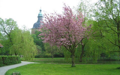 Stunde der Heimatkunde - 190 Jahre Schlosspark Sondershausen: aus der Geschichte des Parks geplaudert